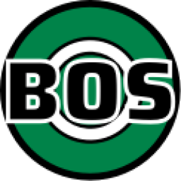 凯尔特人logo