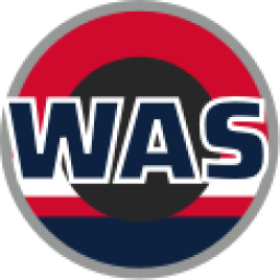 奇才logo